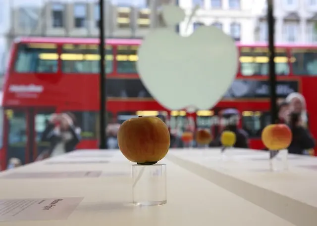 the-real-apple-store6