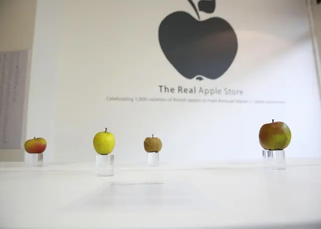 the-real-apple-store7