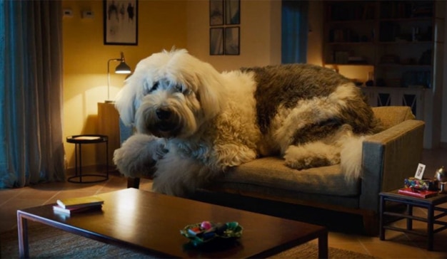 El perro de una tonelada de Skoda: seguridad sin dramas