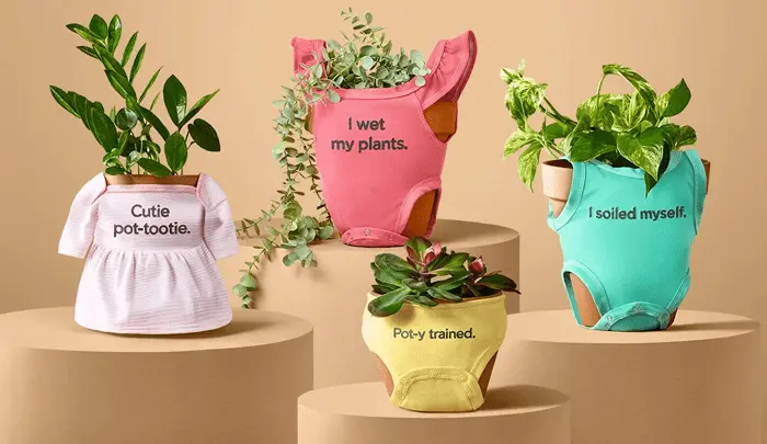 Nueva colección de ropa para plantas