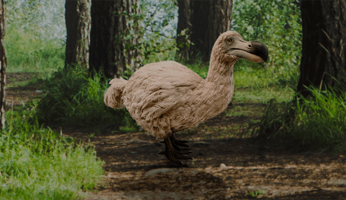 WWF «resucita» animales extintos